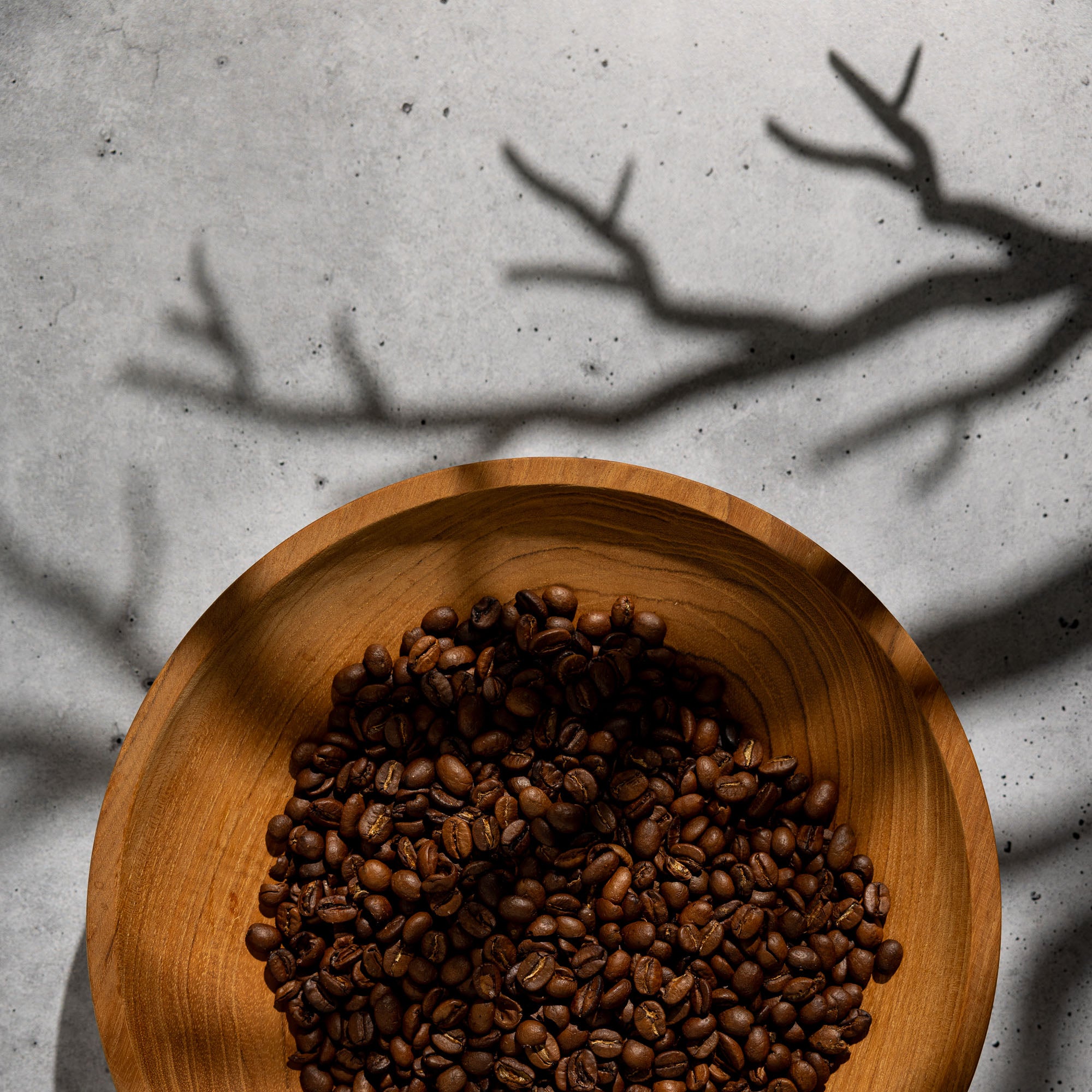 The Nature Kit - (3x)