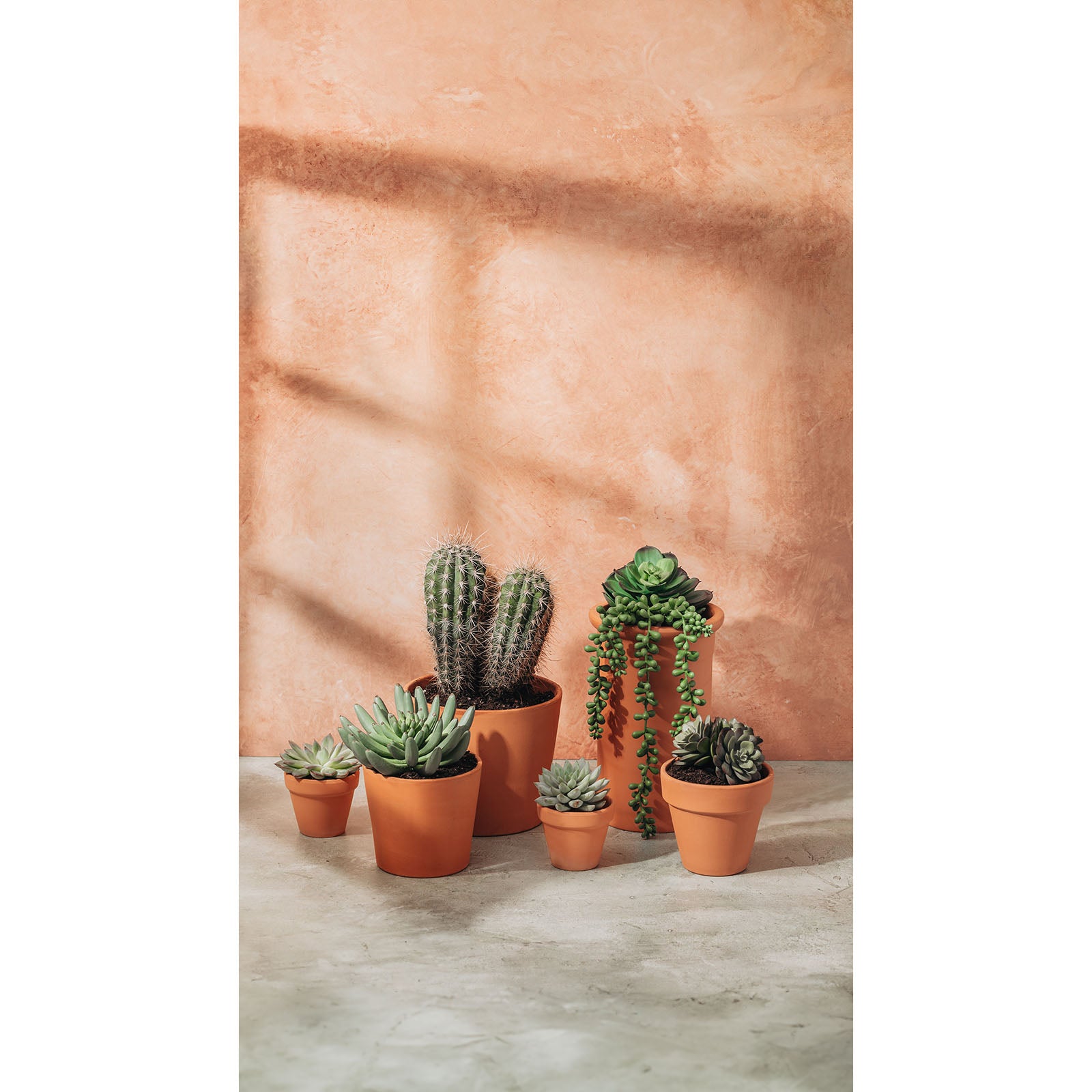 French Clay/Terracotta Blush - XL