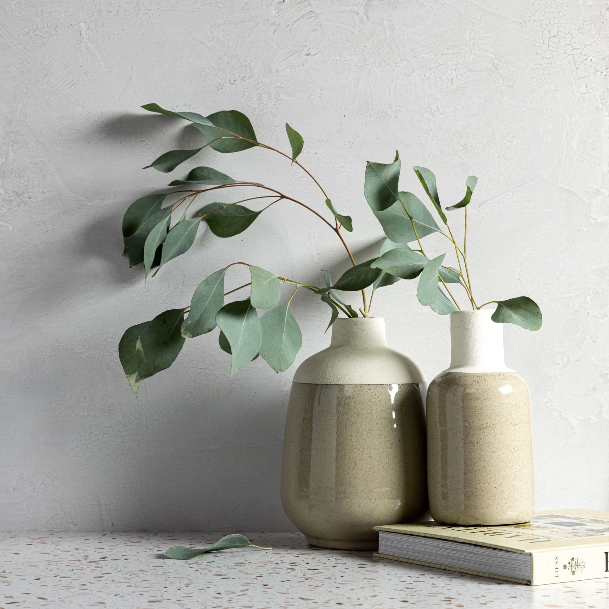 Raw Concrete/Vintage Plaster