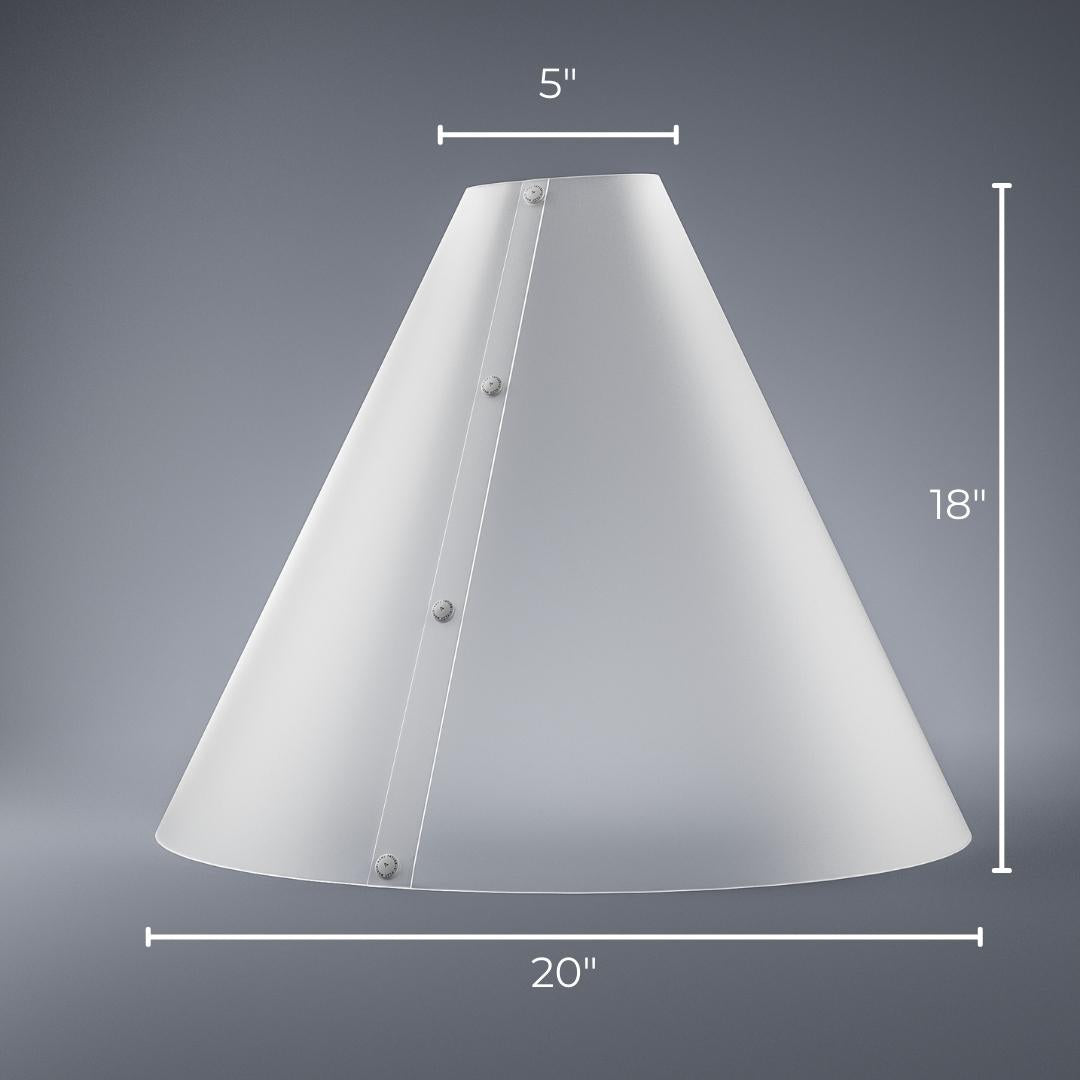 The Light Cone - Large